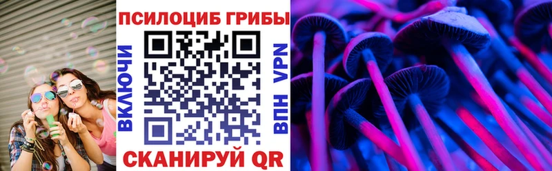 Купить закладки  Ливны  Галлюциногенные грибы Psilocybine cubensis 